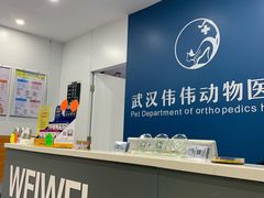 -伟伟宠物医院·CT影像中心·瑞派犬猫综合性门诊(汉口总院)