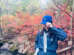 -亚龙湾国际玫瑰谷
