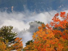 -光雾山旅游景区