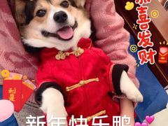 -湊湊火锅·茶憩(新中关购物中心店)