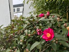-武汉园博园(武汉自然博物馆)