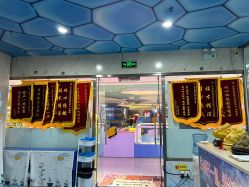 -子木乐园婴儿游泳馆(水晶港店)