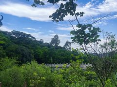 -水濂山森林公园