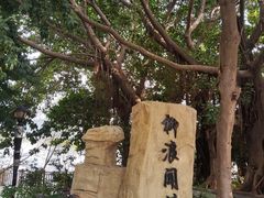 -立新湖公园