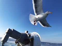 -网走流冰观光破冰船极光号