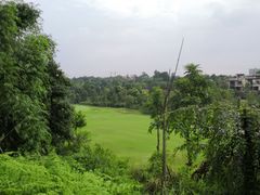 -成都蒲江花样年福朋喜来登度假酒店·宜客乐西餐厅