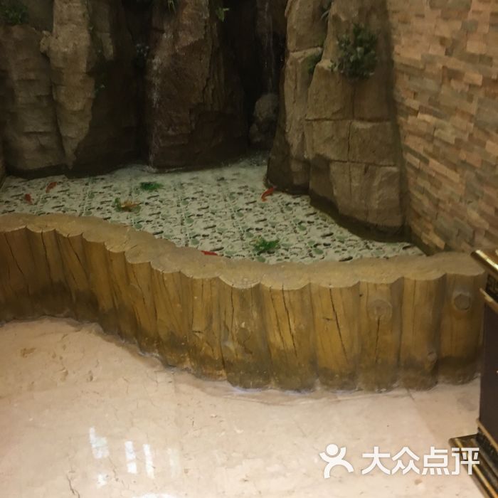 大连金玉湾松骨咋样图片