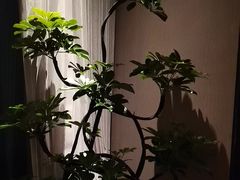 -喜湘宴·精致湖南菜(和平西桥店)