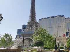 -澳门喜来登大酒店