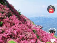 -木兰云雾山