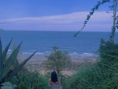 -漳州滨海火山岛自然生态风景区