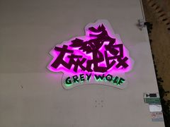 -大灰狼(中心书城店)