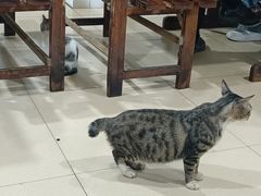 -醒醒田螺(金奖总店)