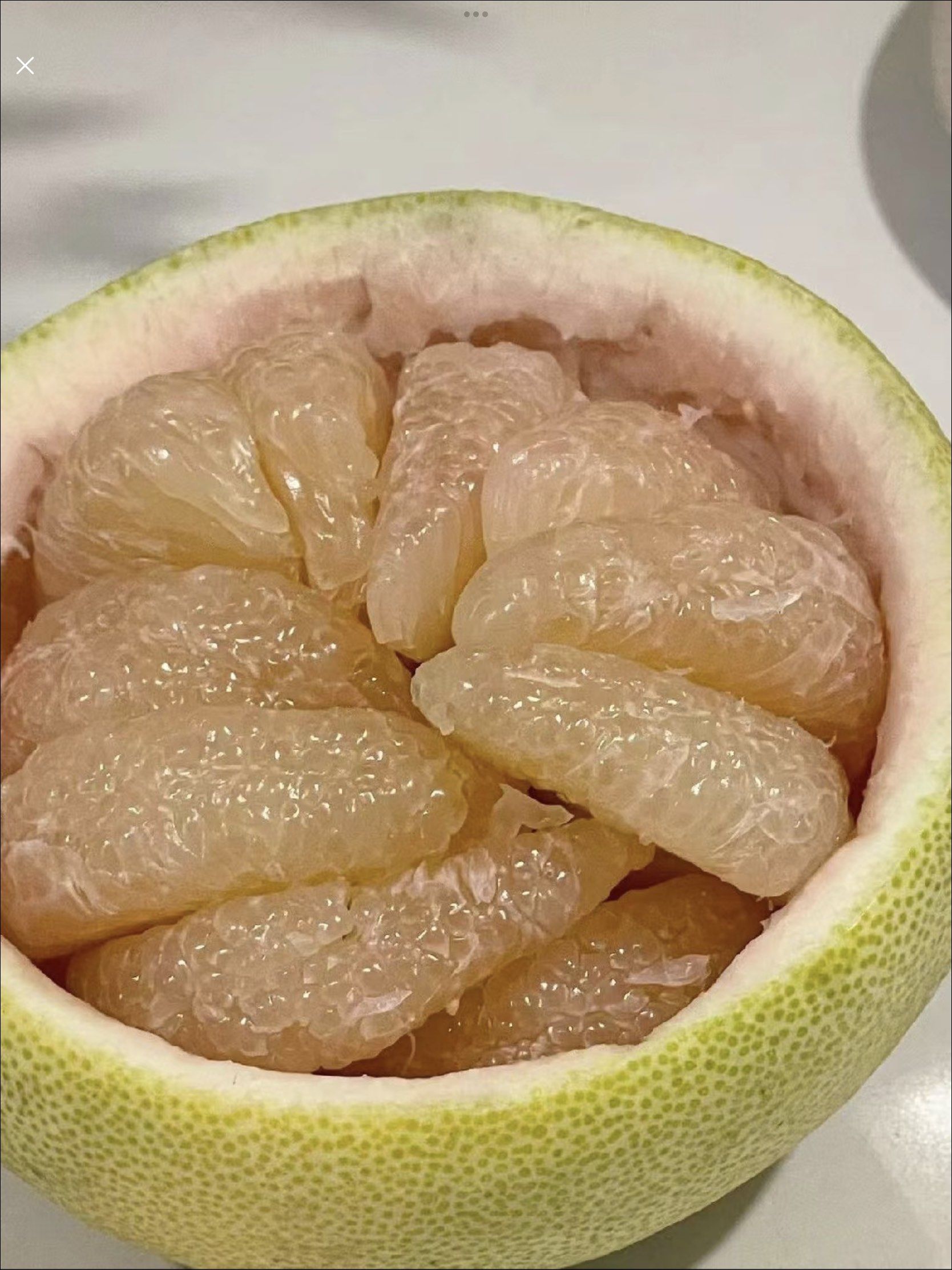 吃过最懂事的柚子