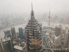 -上海柏悦酒店·世纪100牛排馆