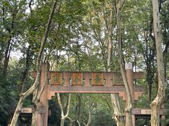 -灵谷景区