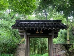 -西溪国家湿地公园