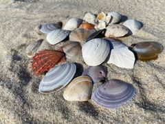 -海合安青岛极地海洋公园