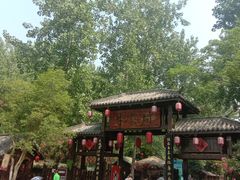 -合肥滨湖国家森林公园