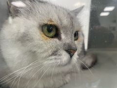 -北京赛佳动物医院