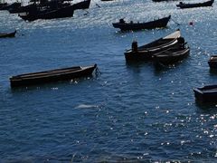 -海源公园