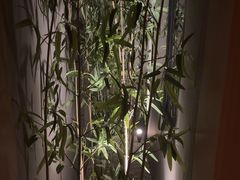 -涨巢·潮玩水疗局