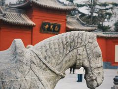 -洛阳白马寺