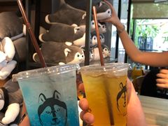 -TrueLove @ Neverland (Husky Cafe)