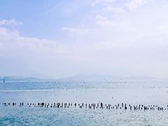 -深圳湾公园(南山区)