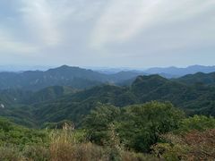 -六里坪国家森林公园