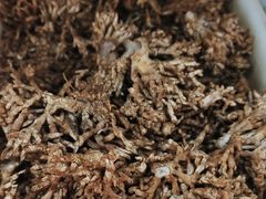 -畲乡一品鱼府土菜馆