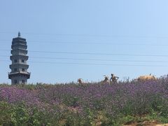 -白鹿原影视城
