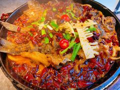 -老板恋上鱼(恒隆广场店)