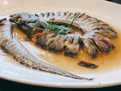 -义乌香格里拉•食尚汇MIX