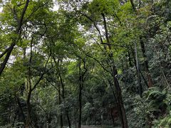 -广州市白云山风景名胜区