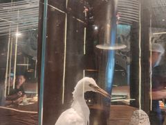 -老板恋上鱼(印象城店)