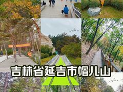 -帽儿山国家森林公园