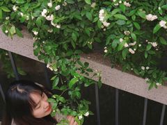 -四川大学(望江校区)
