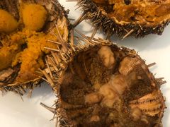 -海胆小馆(东北水饺·春柳店)