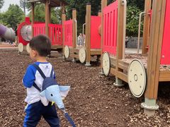 -枫香湖儿童公园