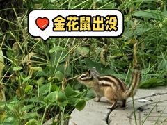 -将府公园