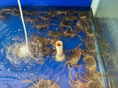 -阳澄湖大闸蟹·琼灵阁牌品牌连锁(吴中总店)