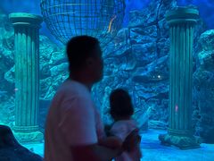 -芜湖新华联大白鲸海洋公园