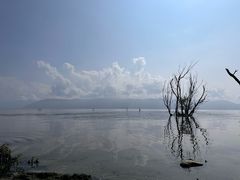 -大理洱海