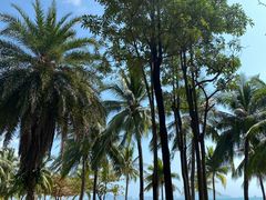 -三亚湾海居铂尔曼度假酒店