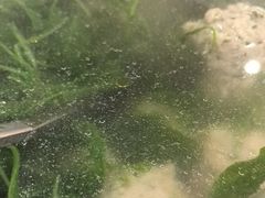 -大鹏饭店·金陵家宴(奥体中心店)