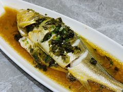 -老绍兴养和饭店(向阳不夜城店)