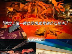 -正佳自然科学博物馆