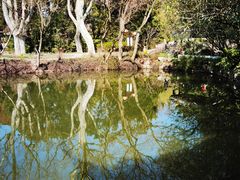 -上海醉白池公园