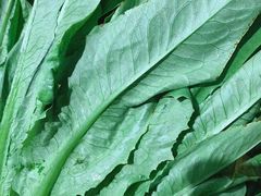 -华联商厦(火车站店)